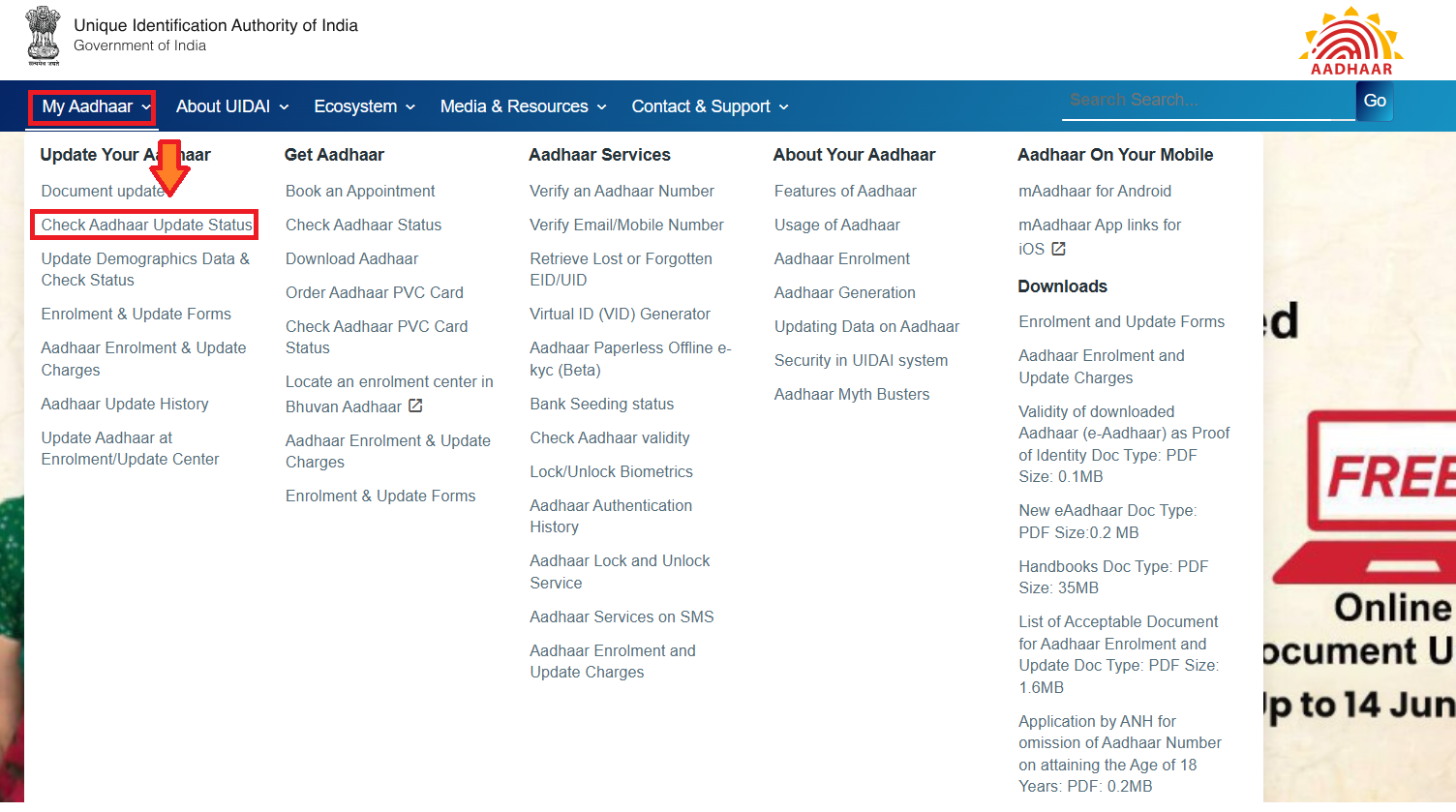 Aadhaar Status UIDAI